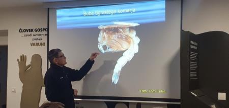 11 Predavanje »Komarji v Sloveniji«